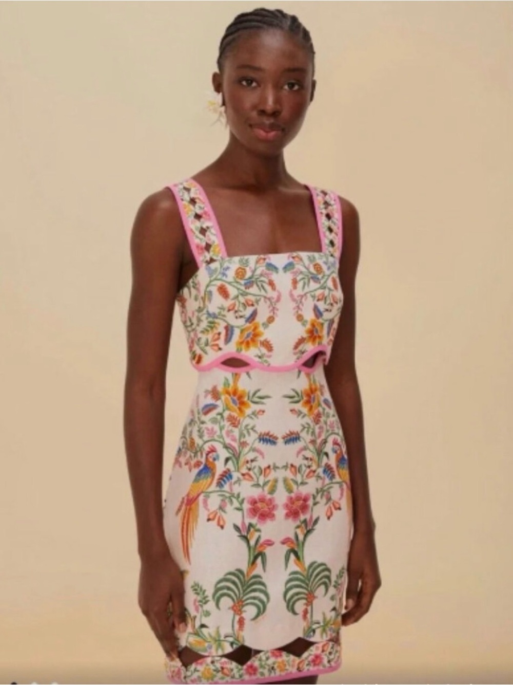 FARM Rio (brand new with tags) White Floral Embroidered Mini Dress Pink Trim XS